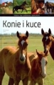 KONIE I KUCE TW