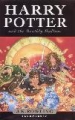 Harry Potter and the Deathly  Hallows (Children s Edition)