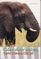 Gdie słonie walczą, tam trawa cierpi